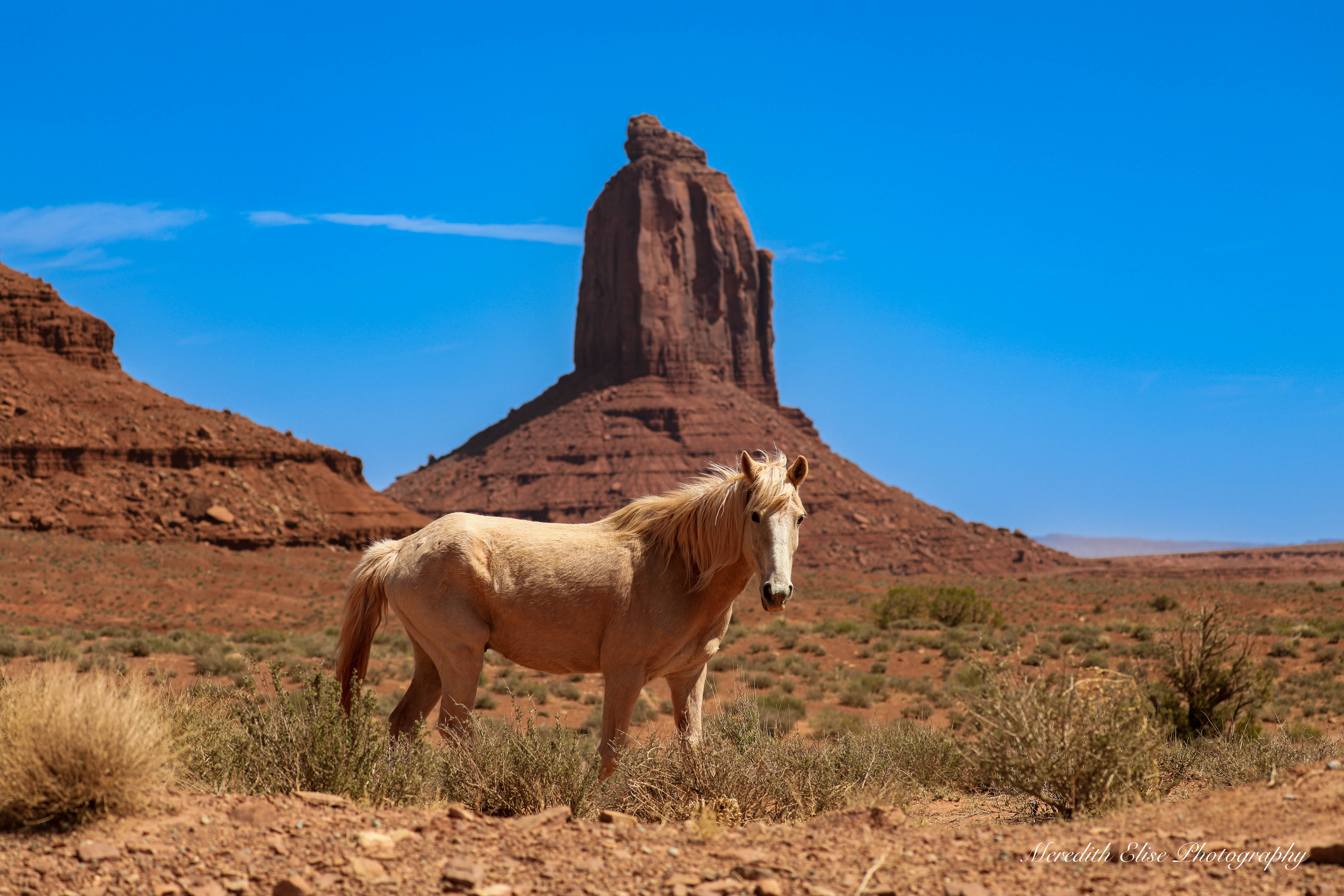 A wild palomino horse standing before a towering Monument Valley butte