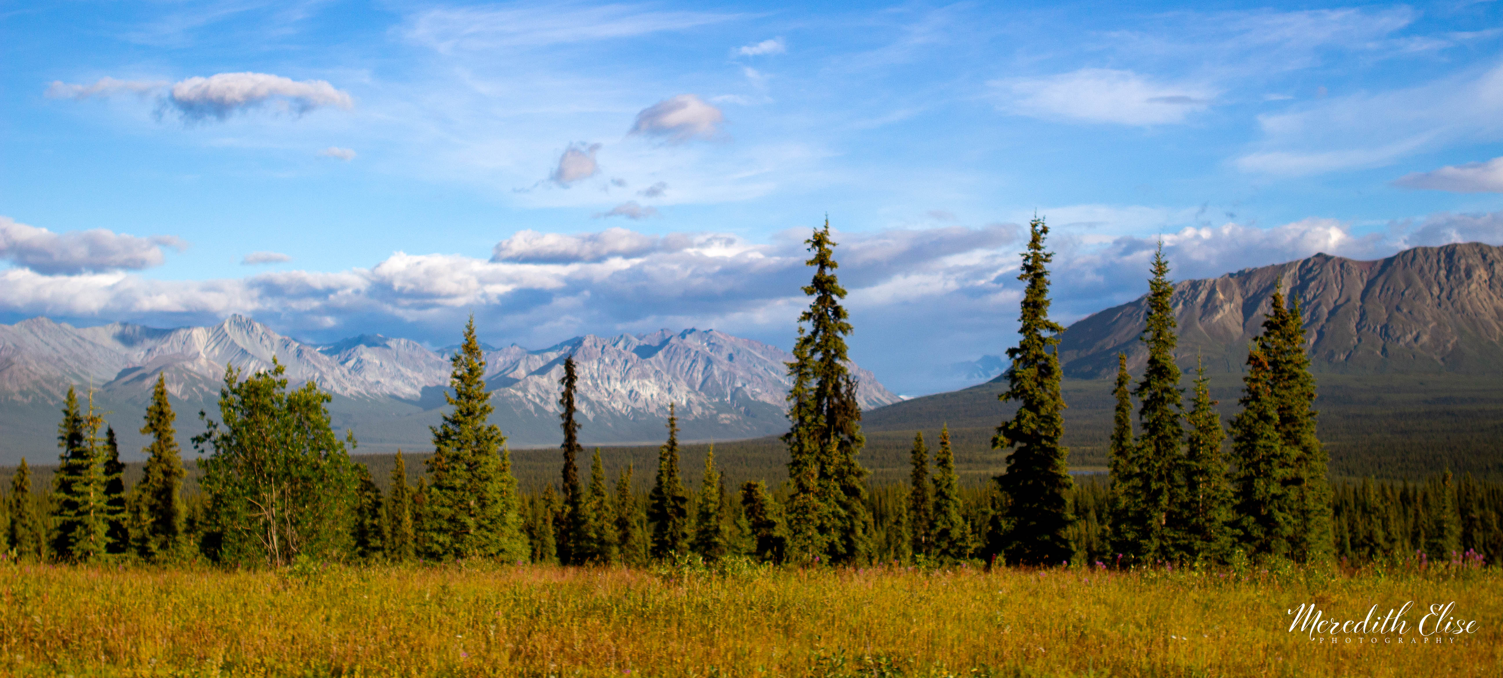 Chugach Range South East Alaska
