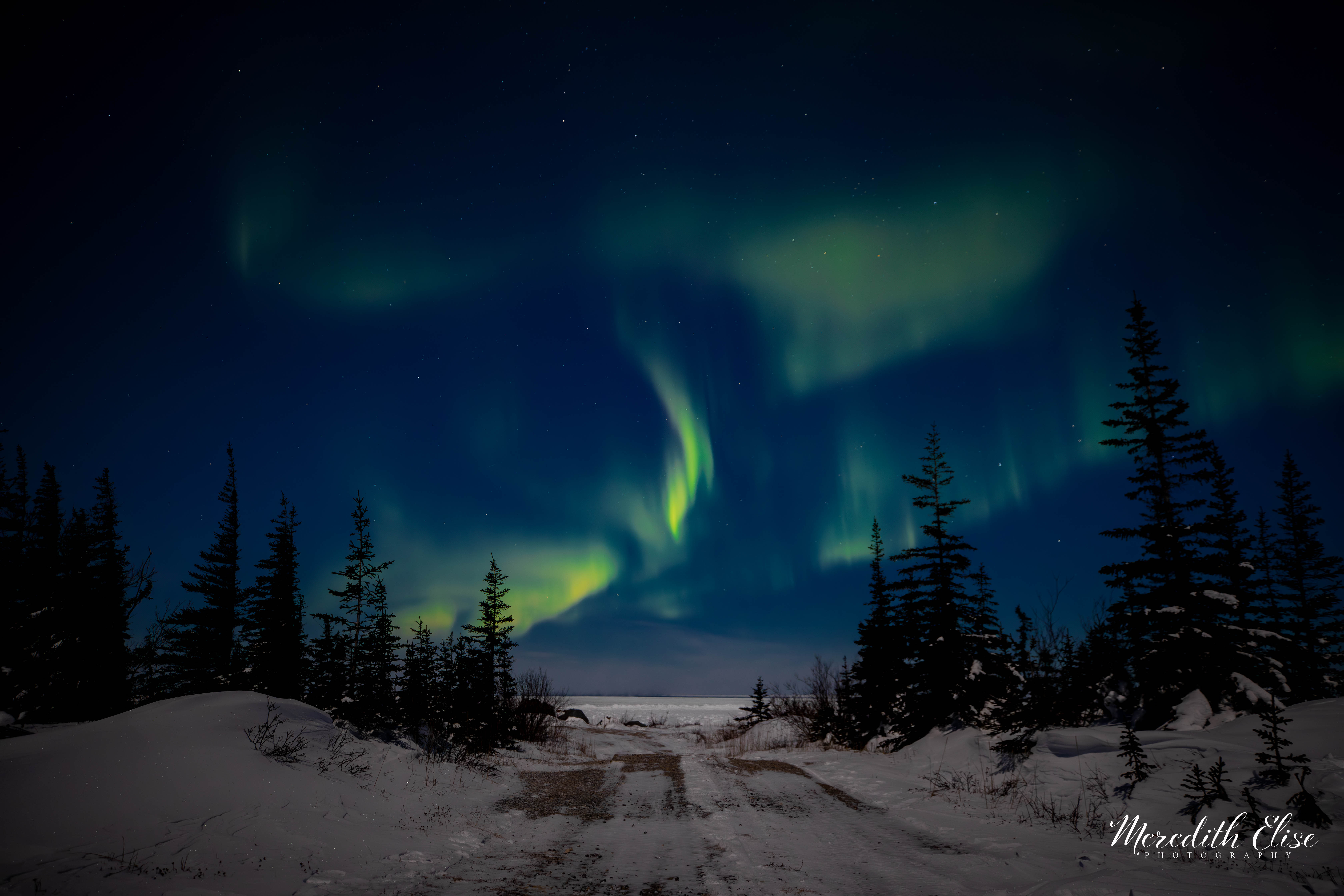 Dancing Aurora Churchill, Manitoba.jpg